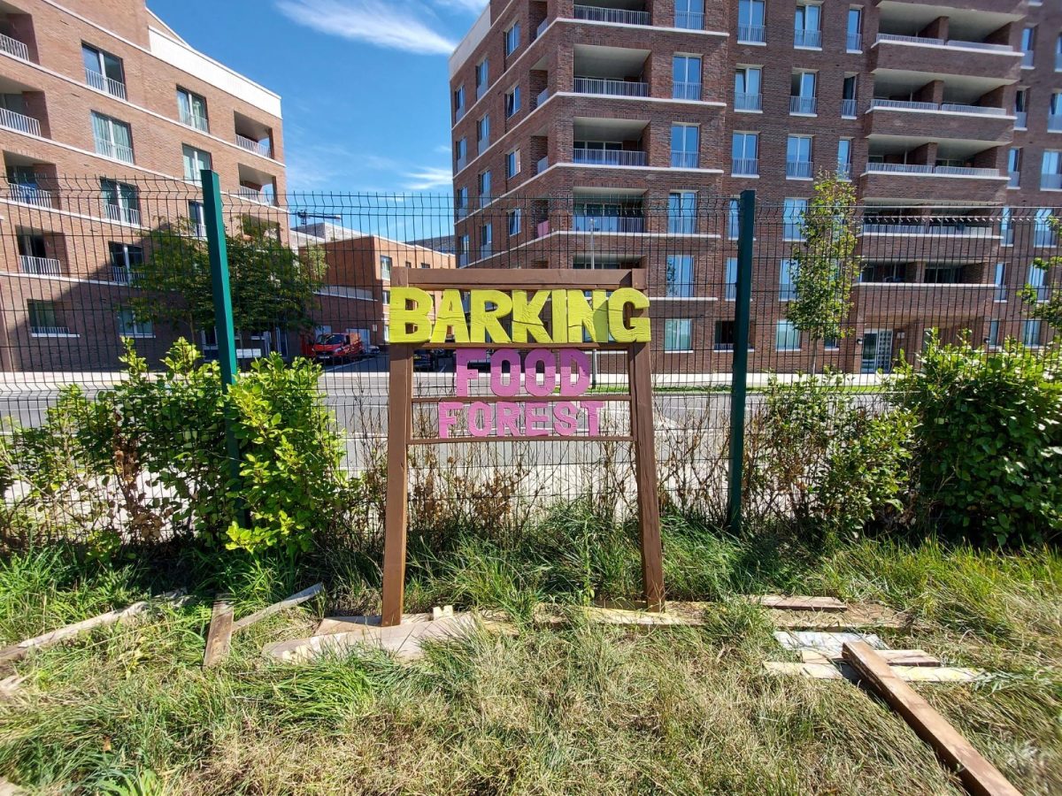 Deputy CEO Blog: An Update On The Barking Food Forest